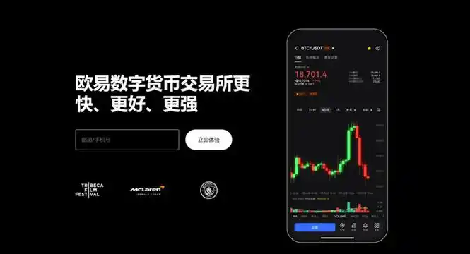okpay钱包官网版交易币系统展示图